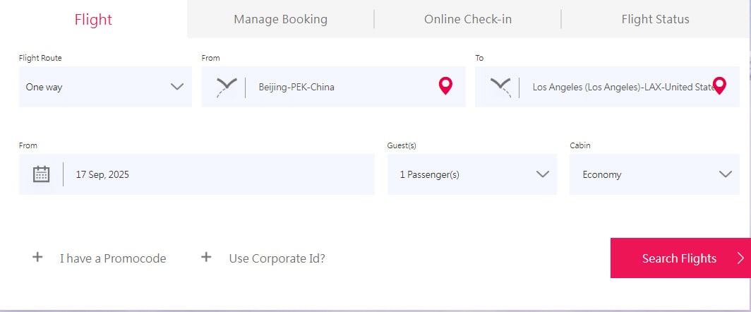 China Airlines. Ввод данных